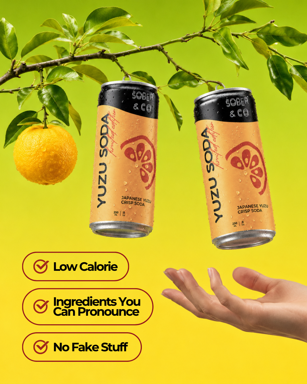 Yuzu Soda (Multi-Pack)