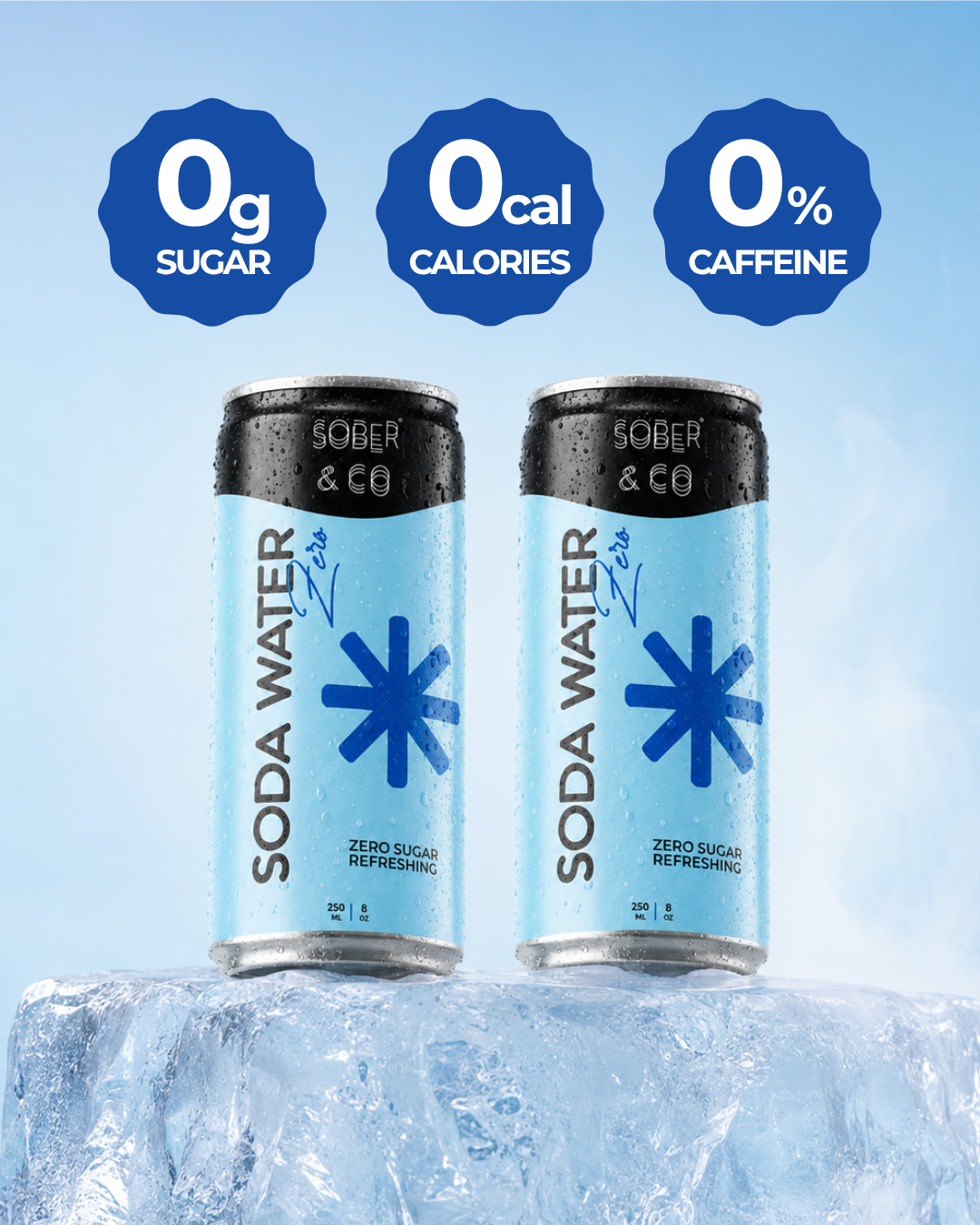 Soda Water (Pack of 24)